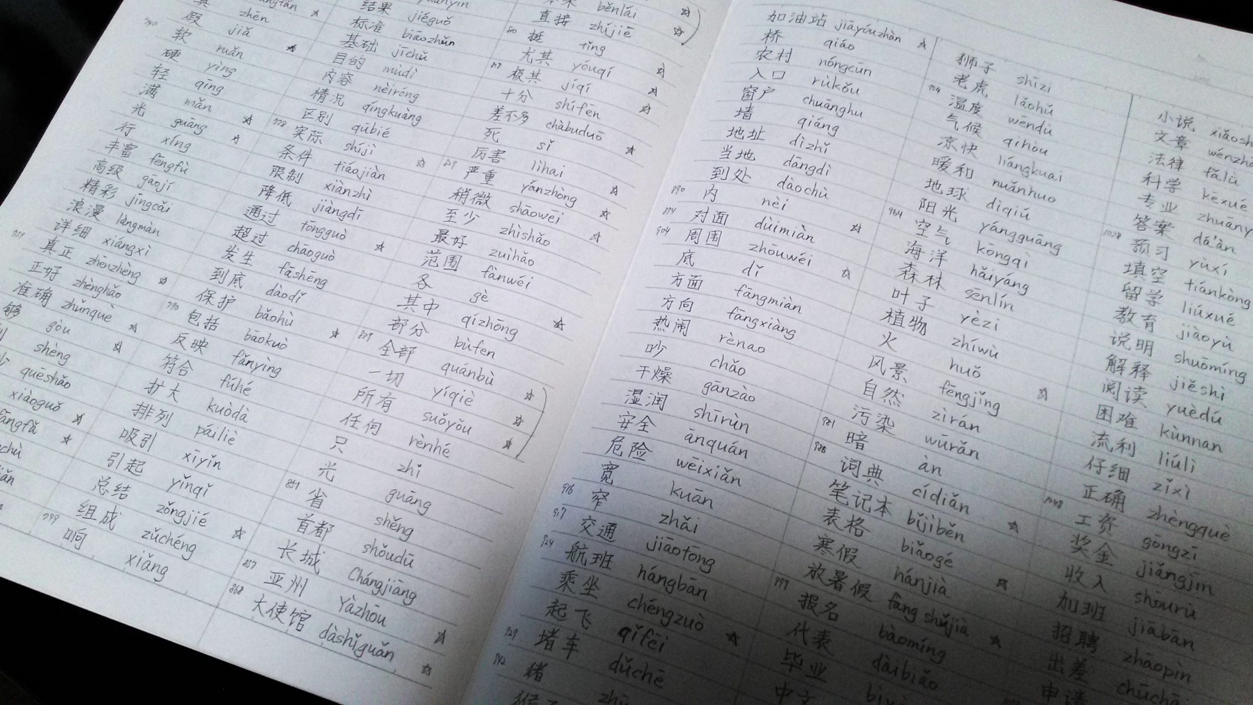 趣味で中国語の学習を始めた話